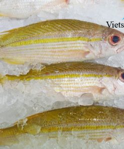 Cá Róc – Vietseafoods